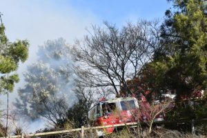 Six brigades needed to extinguish Chum Creek building fire