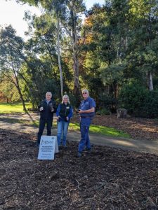 Park planting going strong after 20 years