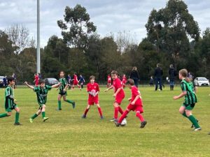 Big weekend for the  Healesville soccer