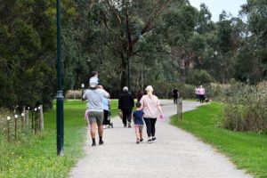 Draft master plan outlines Lillydale Lake improvements