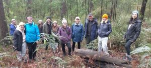 Environmental groups survey