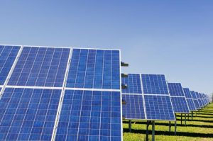CORE combats Climate emergency