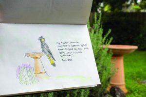 Look closer in your own backyard