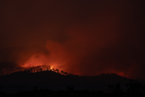 New research examines young people’s role in natural disasters