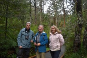 Potential propelled for Great Forest National Park