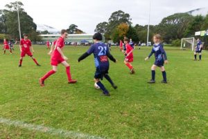 Healesville Dragons record first loss