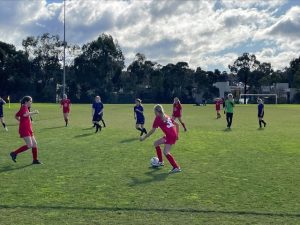 Healesville quality on display with strong showing