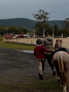 Horse Talk