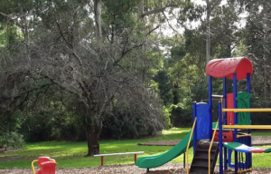Engagement open for Bluegum Reserve