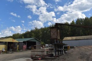 Native timber harvesting to be shut down from 2024