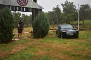 Agriculture Victoria urge horse owners to get their PIC