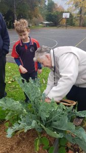 Warburton Primary School impresses local gardeners