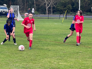 Victorious weekend for Healesville Soccer Club