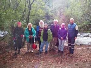 Vital surveys continue