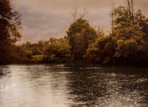 Down to earth exhibition coming to TarraWarra Museum of Art