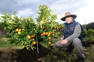 Refresh up for Rural Advisory Committee