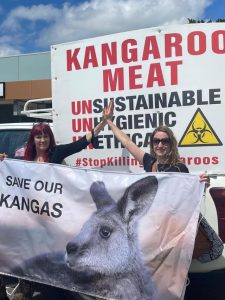 Commercial harvesting of kangaroos discussed at Yarra Ranges Council meeting
