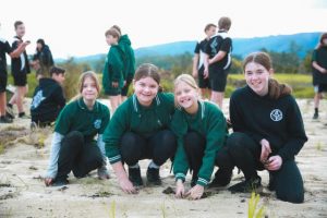 Students lend a hand to help plant 37,000 trees