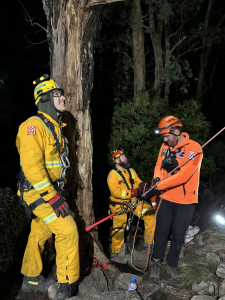 ‘Difficult’ family hike leads to cliff rescue