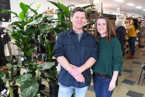 Unleashing creativity in a wonderland market