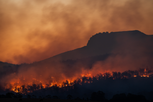 Bushfire consultation closing soon