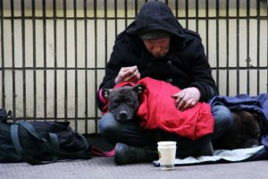 Crisis of Home and Hope