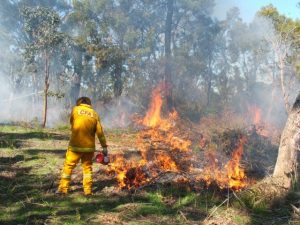 Planned burn in Toolangi today