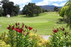 Great golfing in great weather