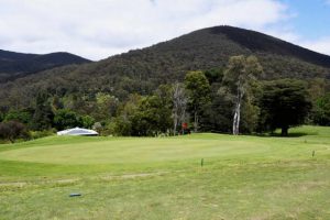 Sunny, warm and windy conditions