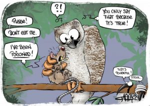 CARTOON: Rat poison harms native wildlife