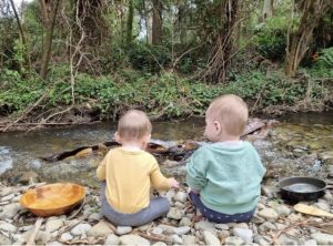 Finding best buddies in Bush Buddies