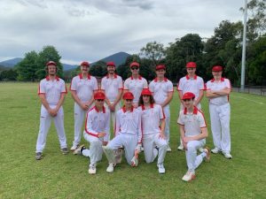 Strong showings from Healesville Cricket Club