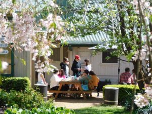 Mont De Lancey Spring festival a success