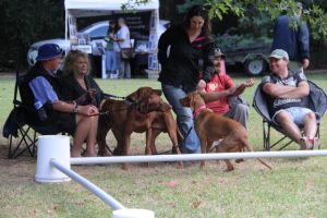 Dog’s Day Out is just around the corner after a long wait