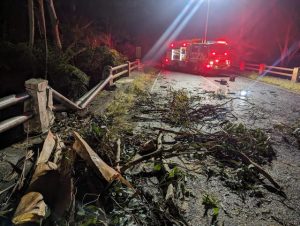SES Healesville Unit cleared a blocking tree