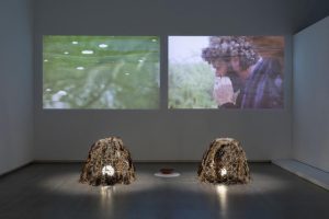 TarraWarra receives first commendation for Biennial