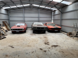 Monbulk woman’s $100,000 classic car collection reportedly stolen from property near Alexandra