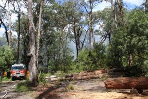 Grassfire is successfully under control in Badger Creek