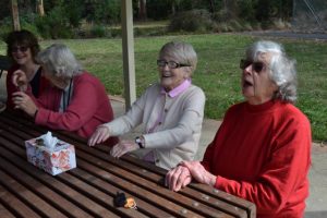 A new term for U3A Healesville
