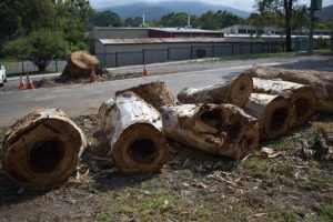 Storm hit Healesville schools
