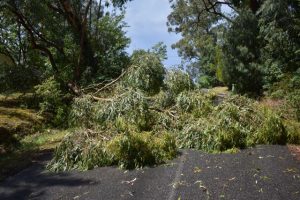Storm hits Yarra Valley