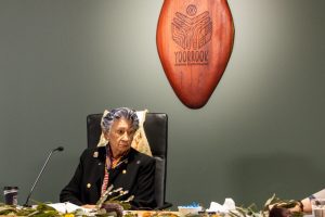 Response from the Healesville-grown Indigenous Studies educator on the Government’s response to the Yoorrook Justice Commission’s recommendations