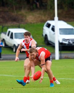 Almost all the spoils for Healesville