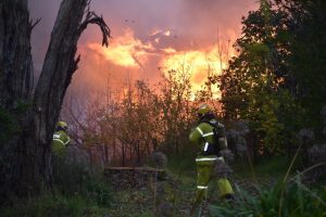 Severe fire in Healesville