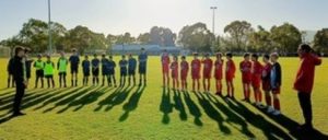Healesville soccer teams move on up