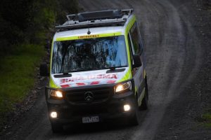 Four charged following alleged theft in Coldstream