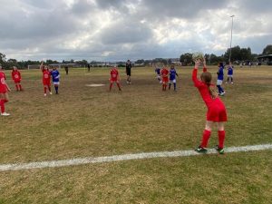 Heart, guts and glory for Healesville’s Reds