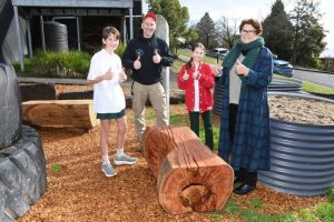 Repurposing fallen trees for local schools