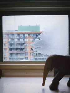 Why are Australian homes so cold in winter?
