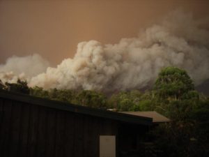 State Government’s support is important for local schools to get prepared for bushfire risks